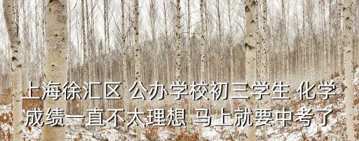 上海徐匯區(qū) 公辦學(xué)校初三學(xué)生 化學(xué)成績(jī)一直不太理想 馬上就要中考了