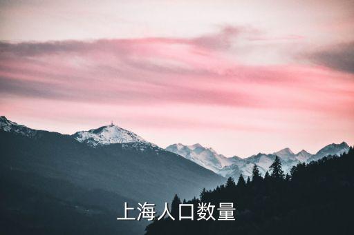 上海市2005年人口統計，2005年11月上海人口數量