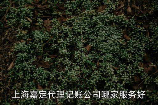 上海嘉定代理記賬公司哪家服務(wù)好