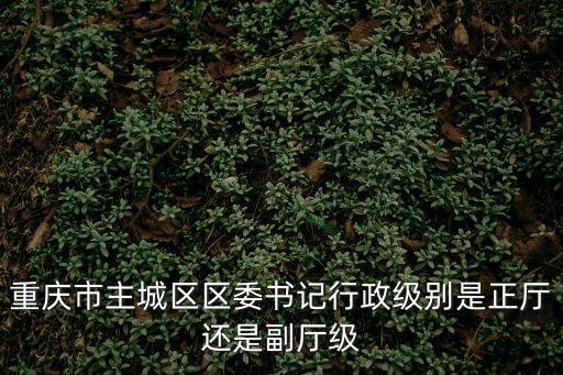 重慶市主城區(qū)區(qū)委書記行政級別是正廳還是副廳級