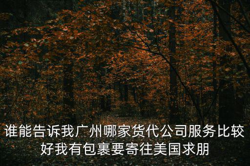 誰能告訴我廣州哪家貨代公司服務比較好我有包裹要寄往美國求朋