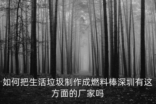 如何把生活垃圾制作成燃料棒深圳有這方面的廠家嗎