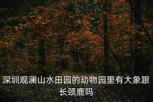 深圳動物園拍鳥，深圳觀瀾山水田園的動物園里有大象跟長頸鹿嗎