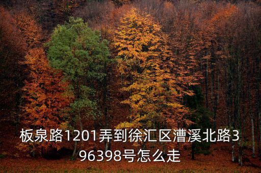 板泉路1201弄到徐匯區(qū)漕溪北路396398號(hào)怎么走