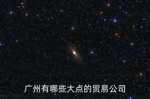 廣州有哪些大點的貿易公司
