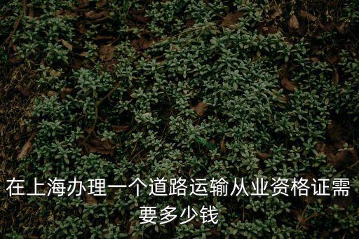 上海市從業資格證，在上海辦理一個道路運輸從業資格證需要多少錢