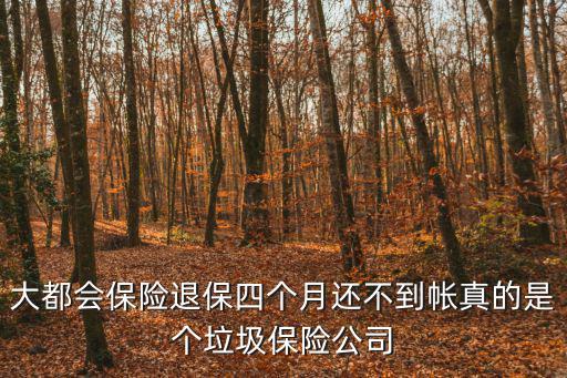 大都會保險退保四個月還不到帳真的是個垃圾保險公司