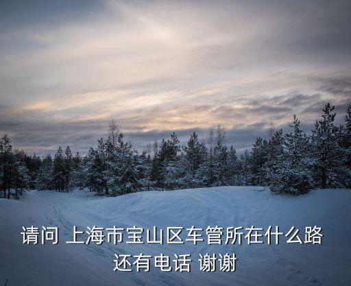 請問 上海市寶山區(qū)車管所在什么路 還有電話 謝謝