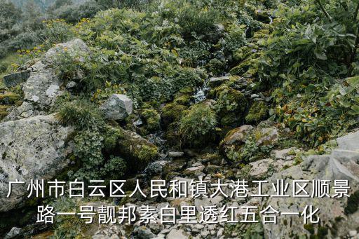 廣州靚邦素化妝品，靚邦素化妝品