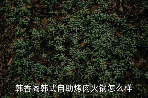 韓香閣韓式自助烤肉火鍋怎么樣