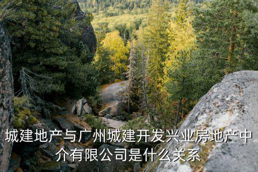 城建地產與廣州城建開發興業房地產中介有限公司是什么關系