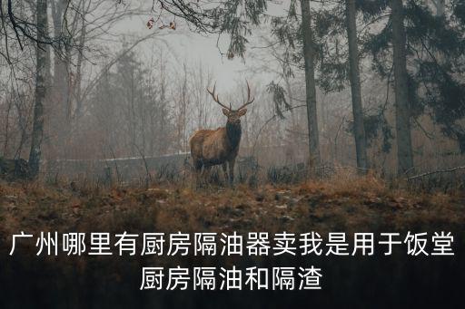 廣州哪里有廚房隔油器賣我是用于飯堂廚房隔油和隔渣