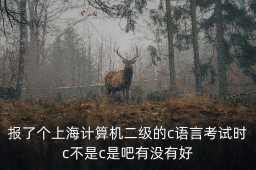 報了個上海計算機二級的c語言考試時c不是c是吧有沒有好
