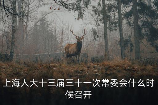 上海人大十三屆三十一次常委會什么時侯召開