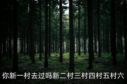 你新一村去過嗎新二村三村四村五村六