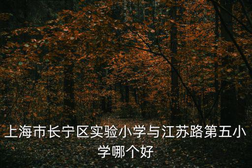上海市長寧區實驗小學與江蘇路第五小學哪個好