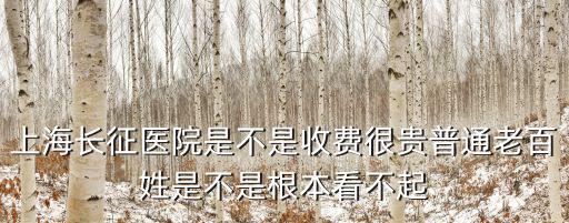 上海市長征醫院掛號費用，上海長征醫院腦神經科掛專家號多少錢十天普通病房是多少錢  搜