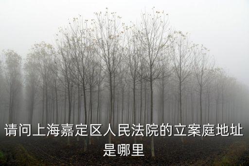 上海市嘉定法院執行庭電話，嘉定法院有沒有投訴電話號碼或投訴部門