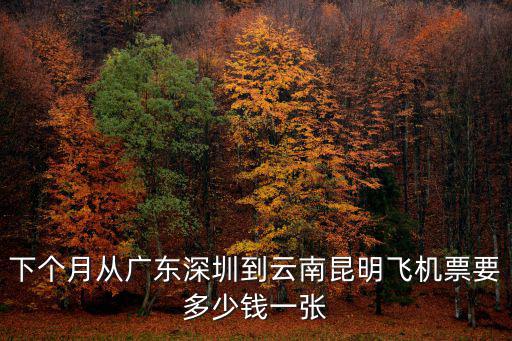 下個月從廣東深圳到云南昆明飛機(jī)票要多少錢一張