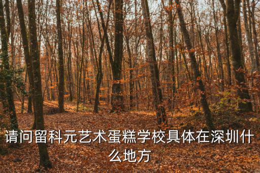 請問留科元藝術蛋糕學校具體在深圳什么地方