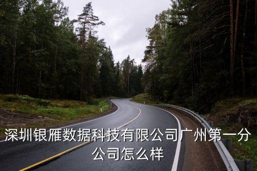 深圳大雁科技有限公司，深圳雁聯計算系統有限公司深圳總部怎么樣