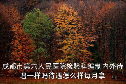 成都市第六人民醫院檢驗科編制內外待遇一樣嗎待遇怎么樣每月拿