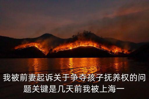 我被前妻起訴關于爭奪孩子撫養權的問題關鍵是幾天前我被上海一