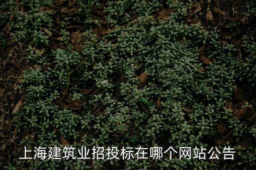 上海市招標(biāo)信息網(wǎng)，上海擬在建工程招標(biāo)信息去哪查找