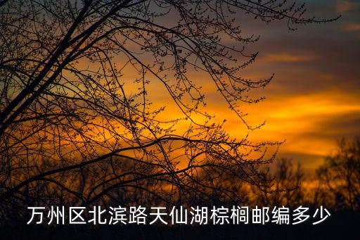 萬州區北濱路天仙湖棕櫚郵編多少