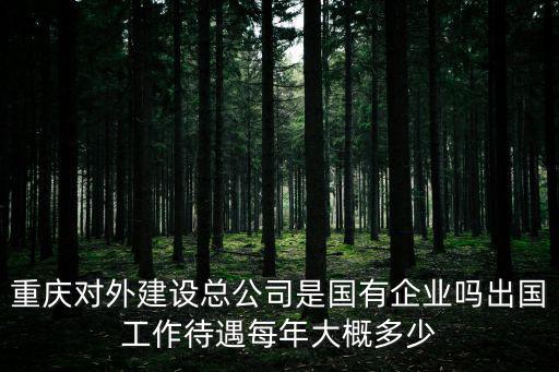 重慶市外建，重慶對外建設集團有限公司有第四工程公司嗎