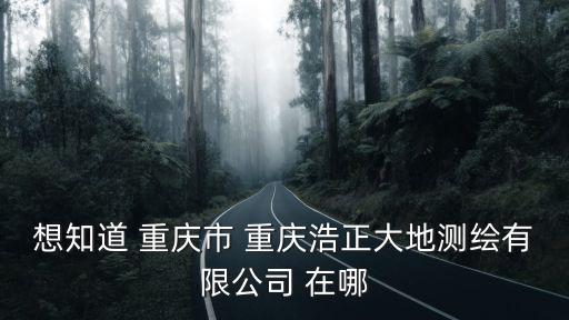 想知道 重慶市 重慶浩正大地測繪有限公司 在哪