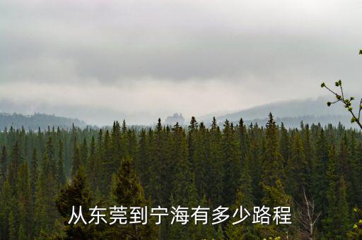 從東莞到寧海有多少路程