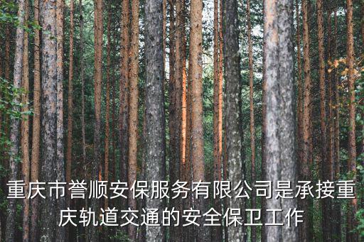 重慶市譽順軌道交通安保訪問，重慶長江大橋下面是地鐵還是輕軌