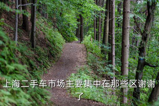 上海二手車市場主要集中在那些區謝謝了