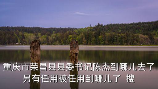 重慶市榮昌縣縣委書記陳杰到哪兒去了另有任用被任用到哪兒了  搜