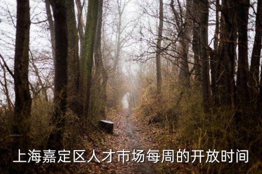上海嘉定區人才市場每周的開放時間
