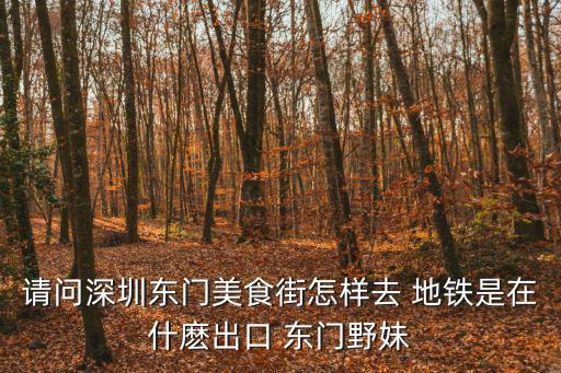 請(qǐng)問深圳東門美食街怎樣去 地鐵是在什麼出口 東門野妹