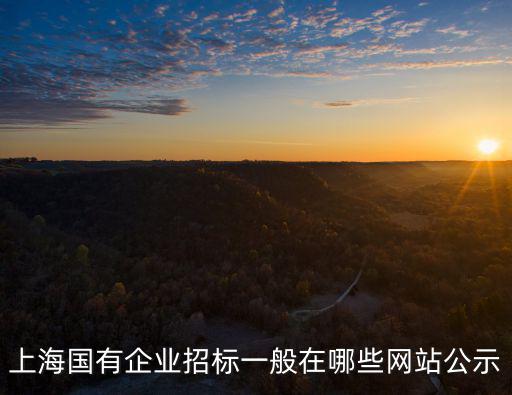 上海國(guó)有企業(yè)招標(biāo)一般在哪些網(wǎng)站公示