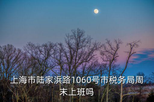 上海市陸家浜路1060號市稅務局周末上班嗎