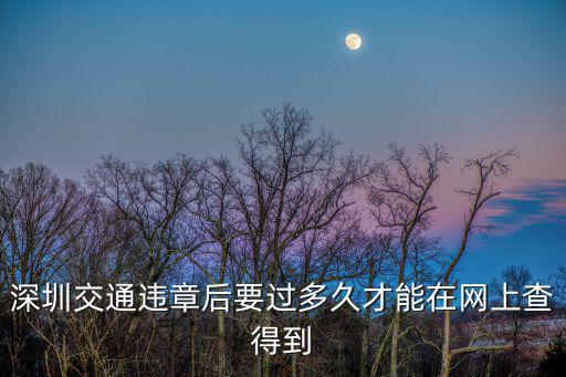 深圳交通違章后要過(guò)多久才能在網(wǎng)上查得到