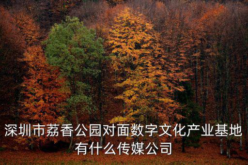 深圳市荔香公園對面數字文化產業基地有什么傳媒公司