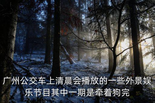 廣州公交車上清晨會播放的一些外景娛樂節目其中一期是牽著狗完