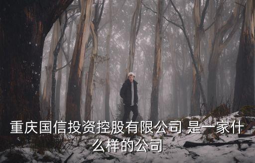 重慶國(guó)信投資控股有限公司 是一家什么樣的公司
