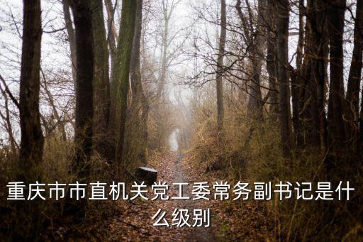 重慶市市直機關黨工委常務副書記是什么級別