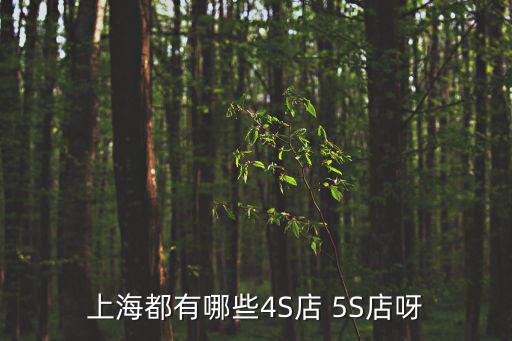 上海市北京現代4s店，上海松江梅家浜路到茸平路北京現代4S店做汽車怎么走