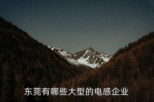 東莞有哪些大型的電感企業