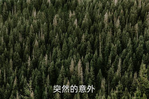 突然的意外