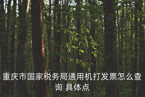重慶市國(guó)家稅務(wù)局通用機(jī)打發(fā)票怎么查詢 具體點(diǎn)