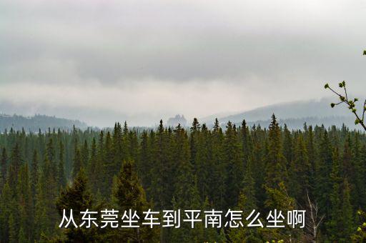 從東莞坐車到平南怎么坐啊