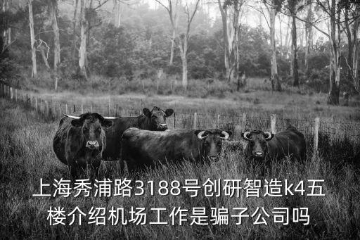 上海秀浦路3188號創研智造k4五樓介紹機場工作是騙子公司嗎